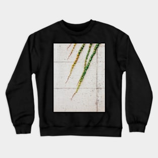 Ivy Growing on Grey Concrete Wall Crewneck Sweatshirt